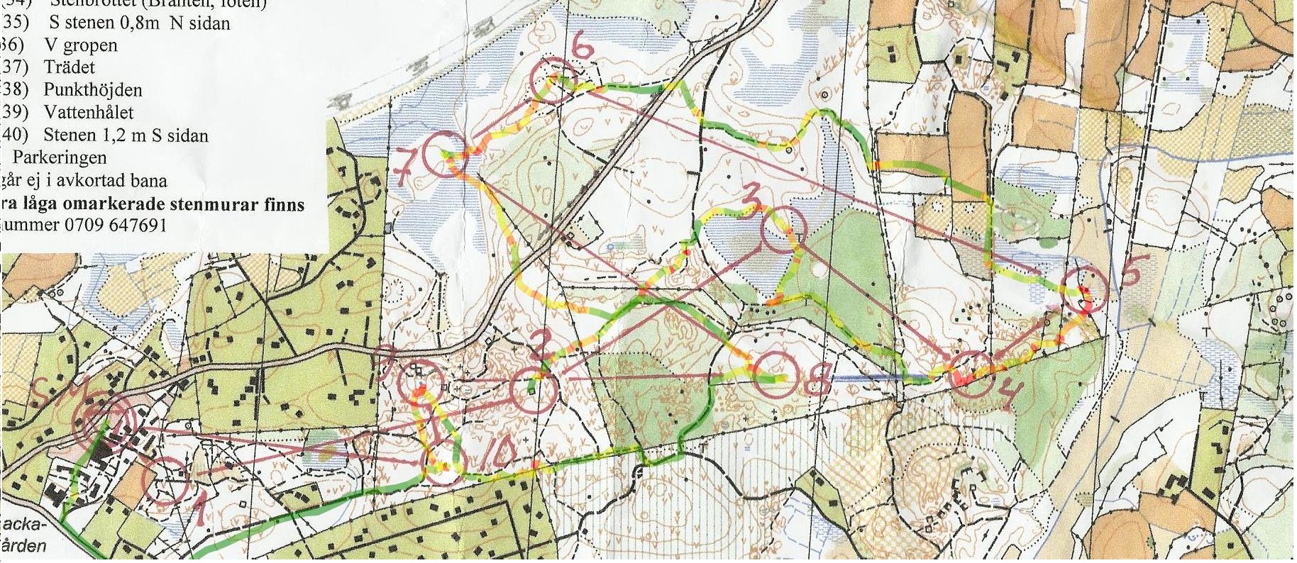 TPIF_20120929_stenskogen  (29.09.2012)