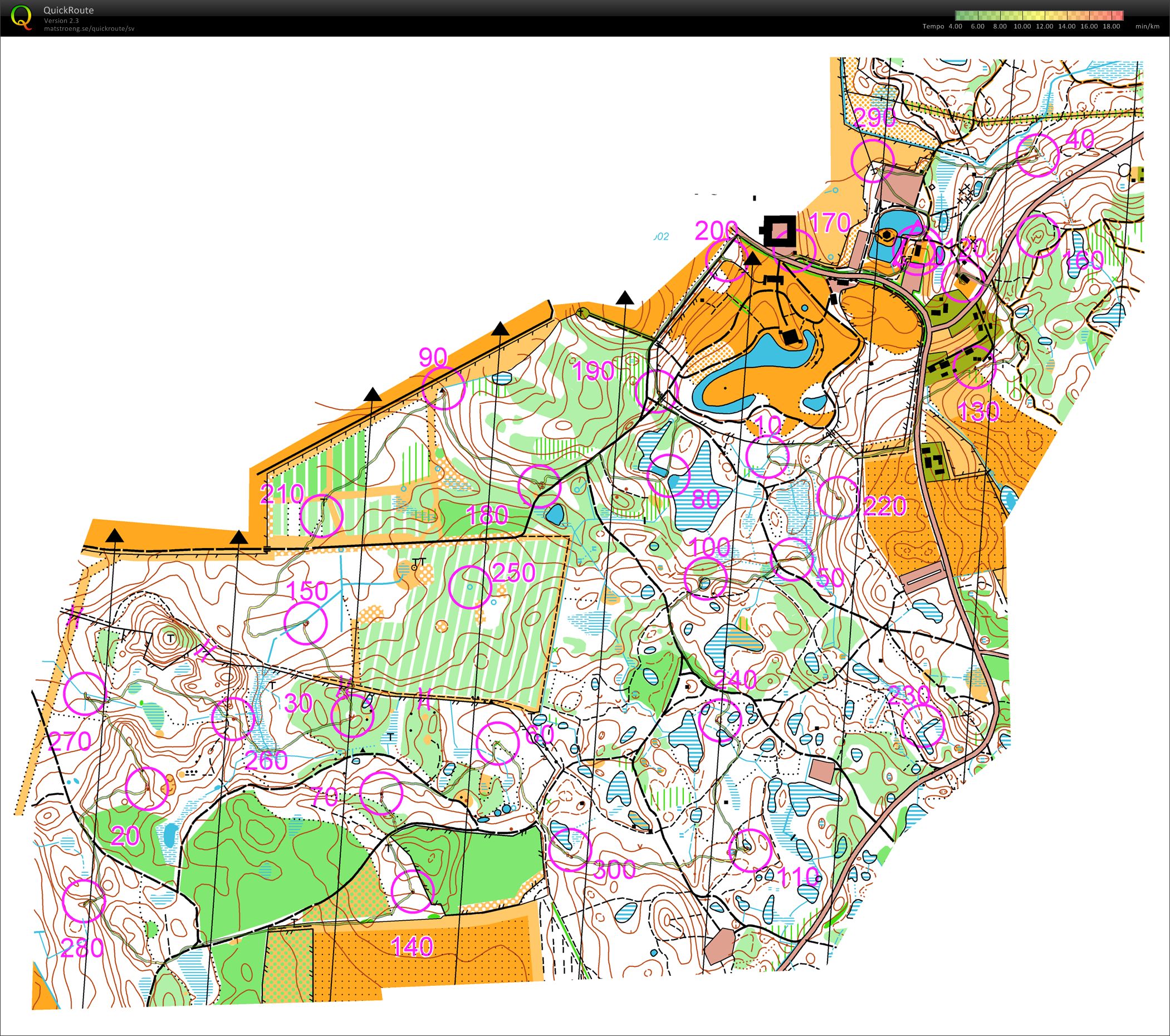 Skinkloppet (2009-12-12)