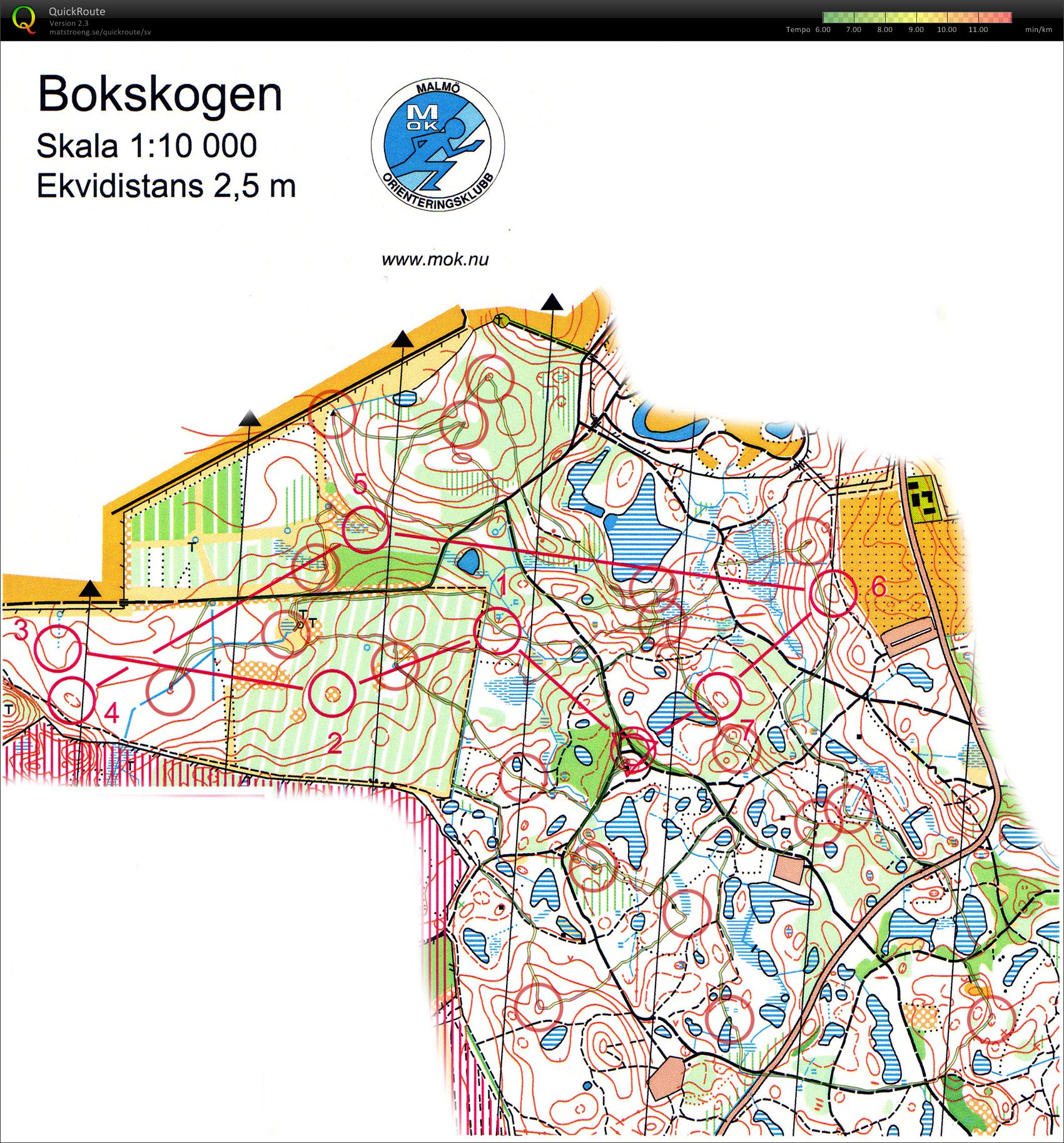 Vintercup 2, bokskogen (2010-01-10)