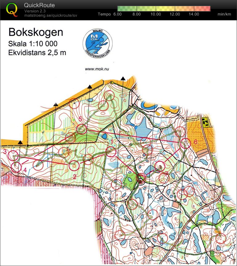 Vintercup 2 Bokskogen (2010-01-10)