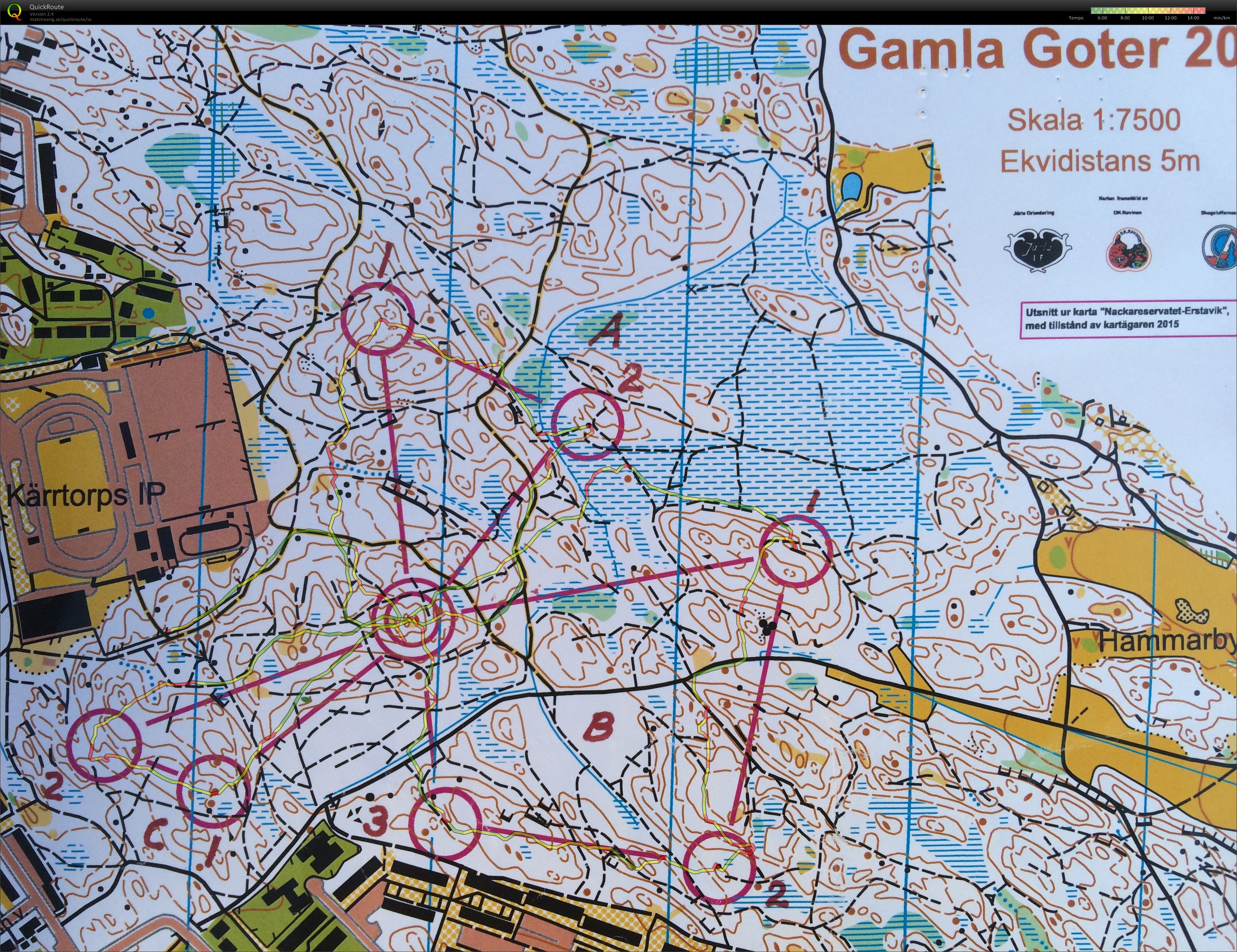 Gamla Goter 2015 (06.06.2015)