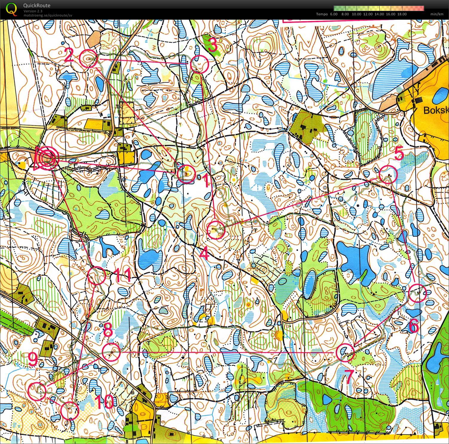 Natträning Bokskogen (2010-01-28)